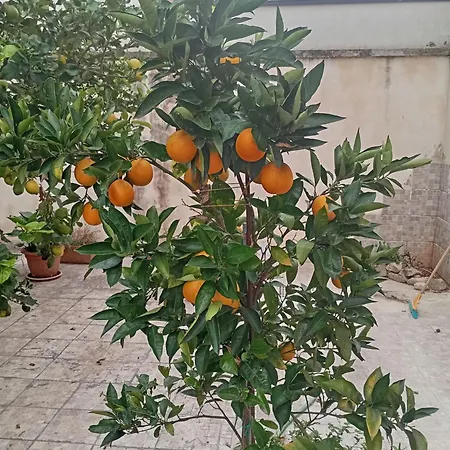 Дом отдыха Il Giardino Dei Limoni Саммикеле-ди-Бари